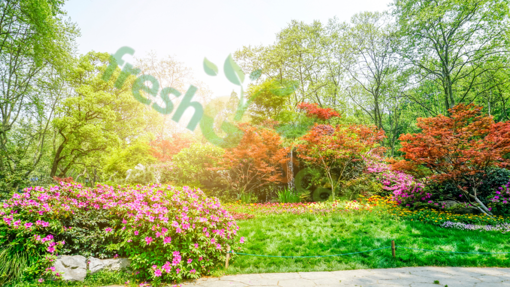 Gardening for Beginners