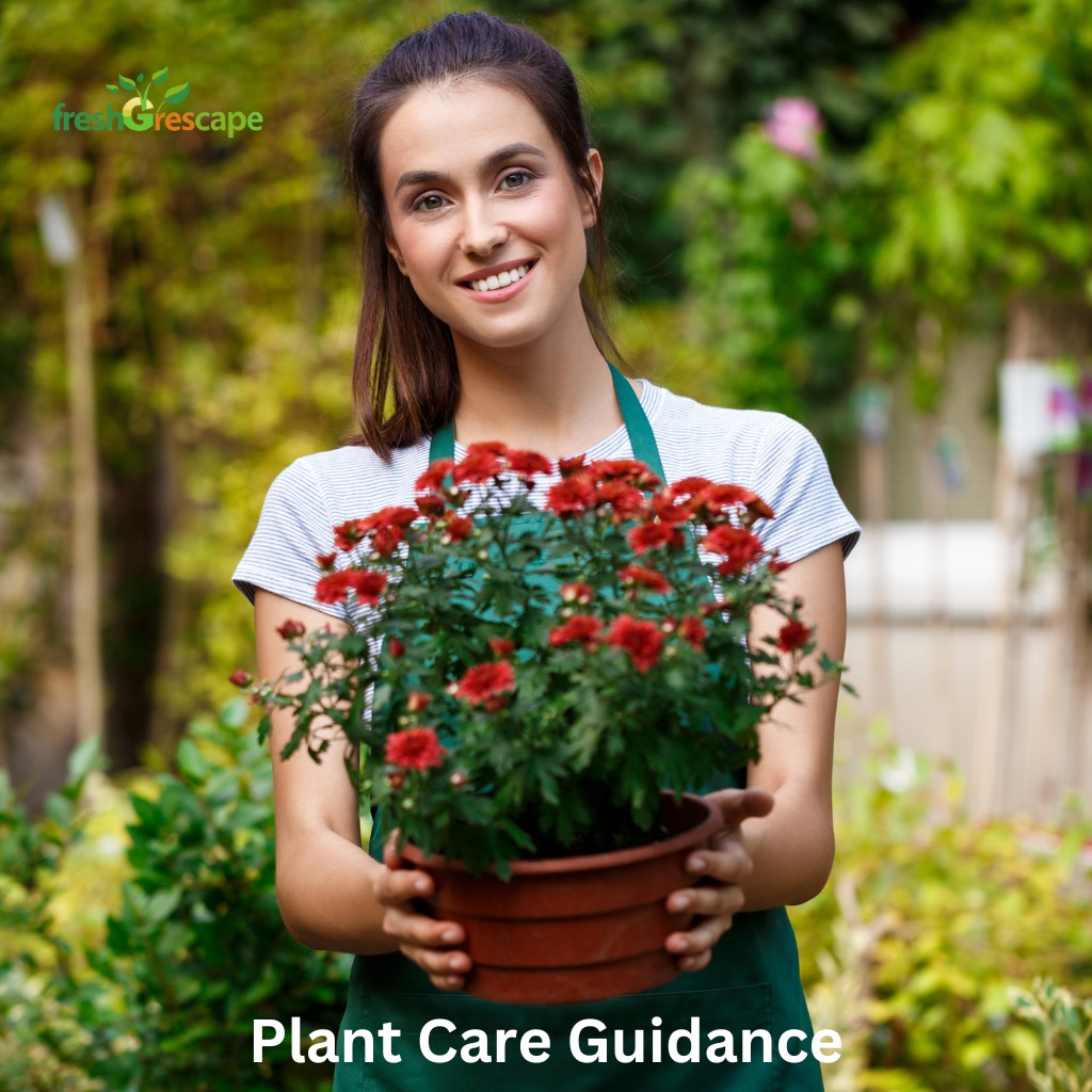 Plant-Care-Guidance