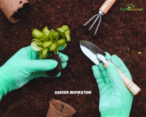 Garden-Inspiration
